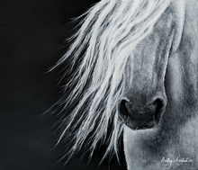 Load image into Gallery viewer, Whose Rider is Faithful & True